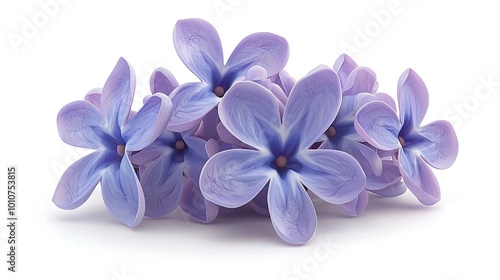 Lilac Flowers Bouquet Isolated on White Background Spring Blossom Floral Design