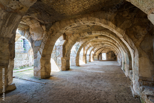 Принти на полотні Agora of Smyrna, ancient roman historical sites in Izmir, Turkey