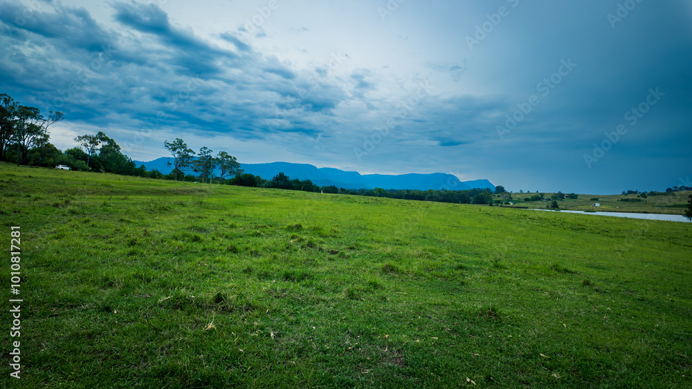 Fototapeta premium The photo shows a morning scene at a ranch in The Hunter Vally in Australia