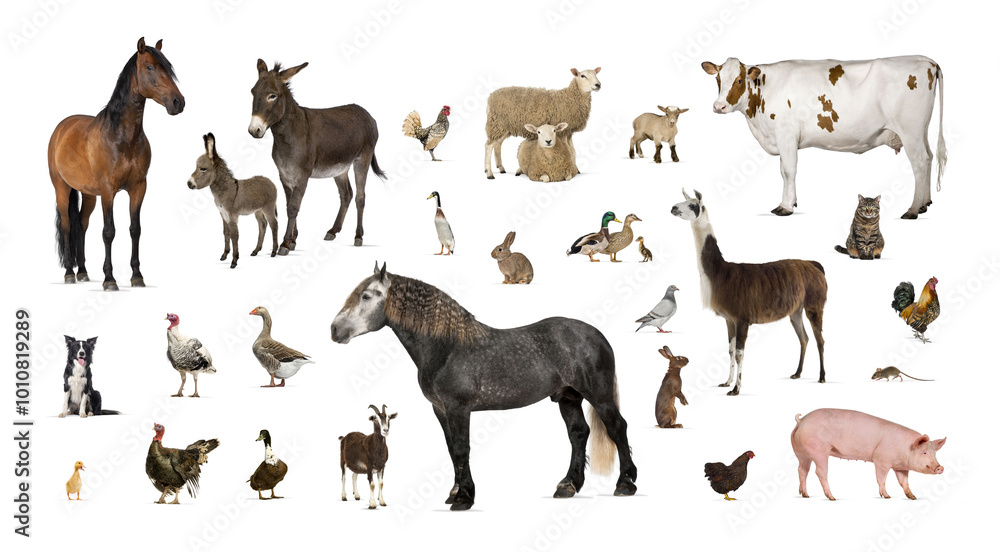 Large group of many farm animals standing together Large group of many farm animals standing together