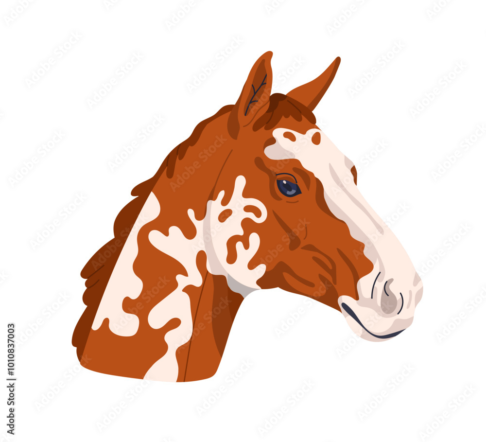 Φωτογραφία Appaloosa horse portrait