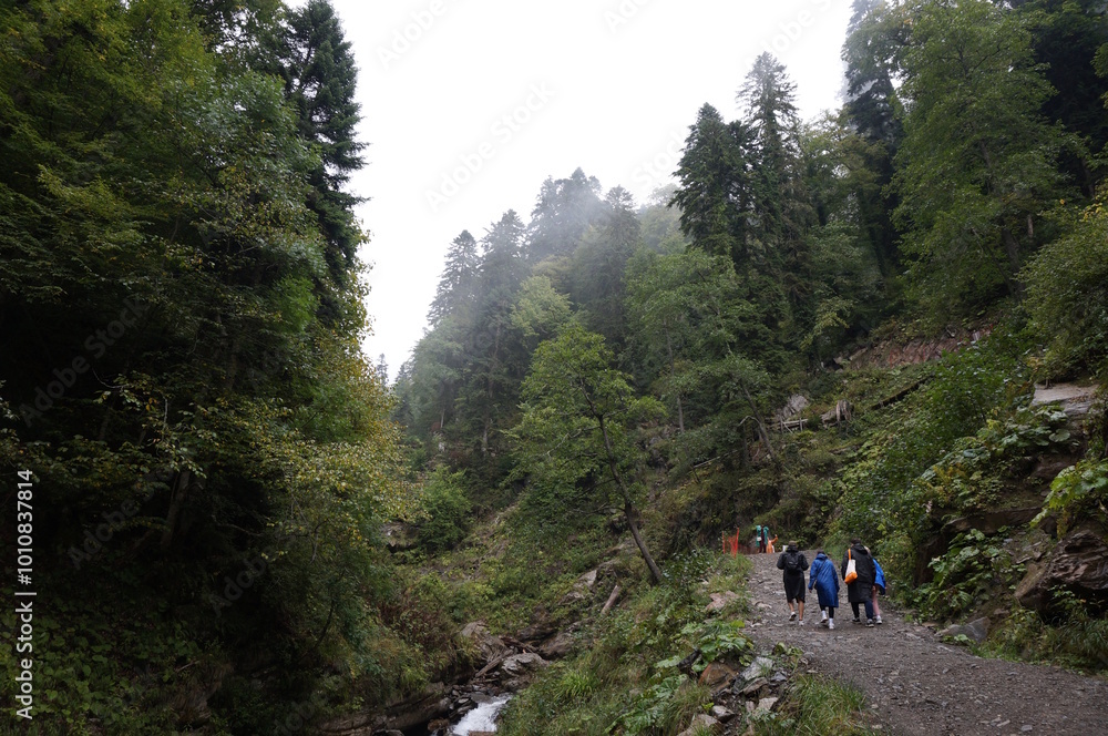 View of the forest in a fog in a mountainous area. Mendelikha Park. View of the forest in a fog in a mountainous area. Mendelikha Park.