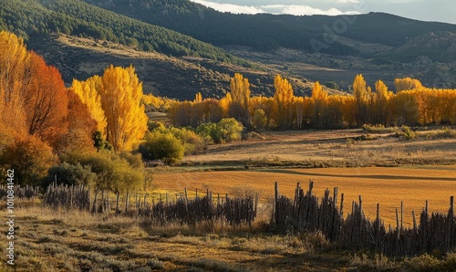 Autumn hues in Canamares Wicker and Poplar Landscape photo