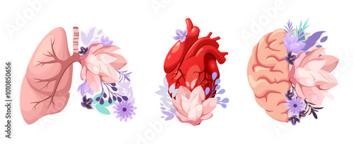 A set of human organs decorated with flowers. Lungs, heart and brain on a white background. Vector illustration.