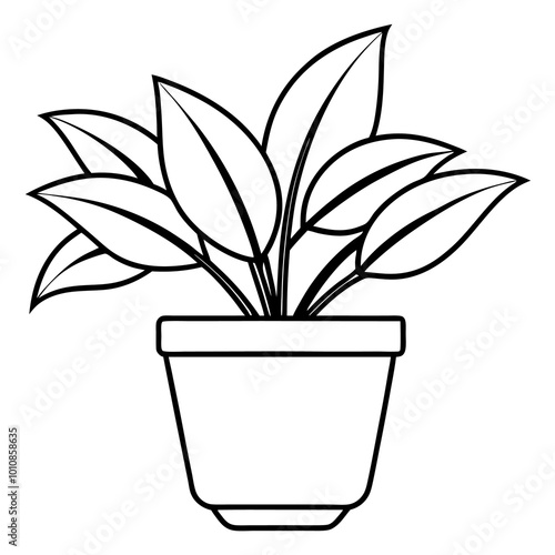 indoor house plant outline coloring book page line art drawing