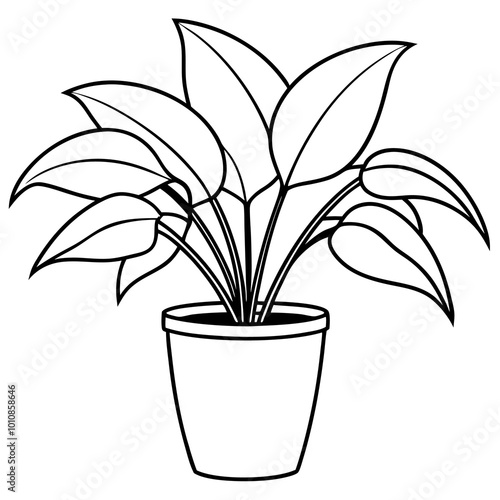 indoor house plant outline coloring book page line art drawing