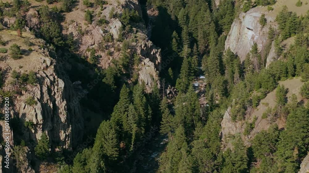 Low-angle aerial of winding river between trees and valley below Sunlight Creek Bridge in Wyoming, showcasing the towering cliffs and the bridge's dramatic height Low-angle aerial of winding river between trees and valley below Sunlight Creek Bridge in Wyoming, showcasing the towering cliffs and the bridge's dramatic height