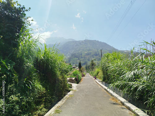 road with mountain background. rural road in mountain area with many trees which is cool and fresh