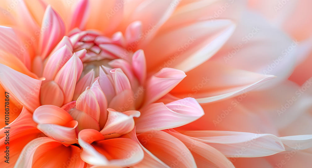 Plant flower background Plant flower background