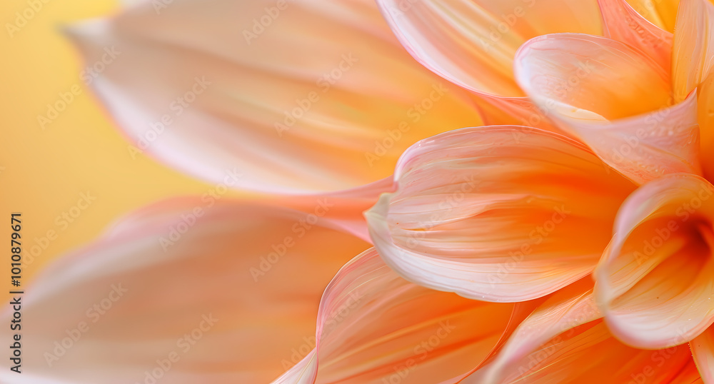 Plant flower background Plant flower background