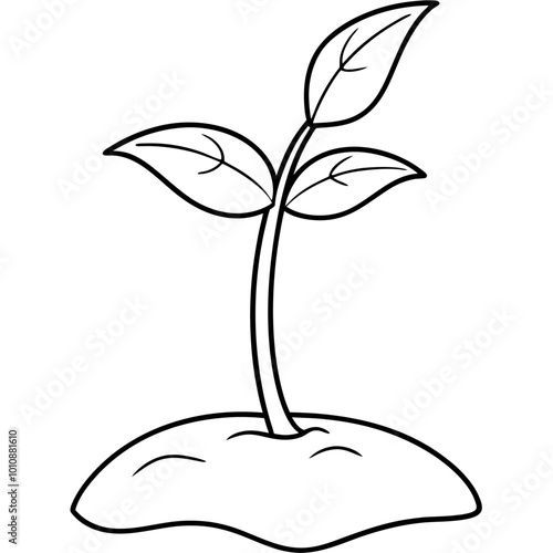 little seedling sprout outline coloring book page line art drawing