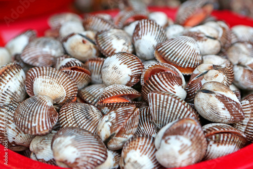 Raw cockles for sale at Jagalchi Fish Market near Nampo-dong, Busan, Korea photo