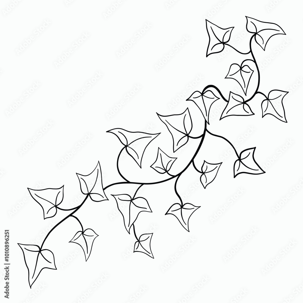 Floral ivy drawing decorative ornament flat design. Floral ivy drawing decorative ornament flat design.