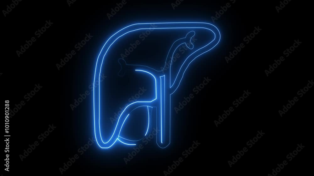 Neon human liver icon animation on black background. Neon human liver icon animation on black background.