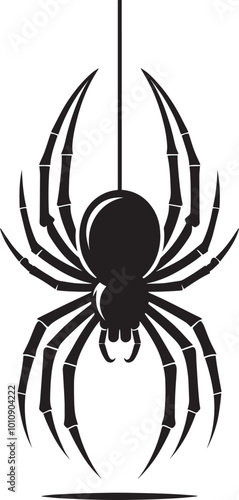 Spider insect Silhouette isolated on a white background Minimalist Spider vector shape