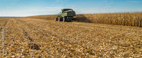 Combine in the process of harvesting corn in the field panoramic view