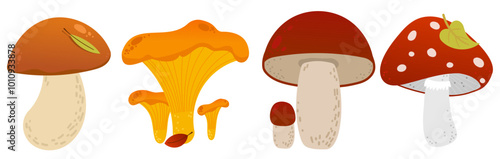 Cute cartoon mushroom family growing in the autumn forest. Seasonal mushroom products, edible and poisonous plants. Set of flat vector illustrations. Mushrooms on a white background
