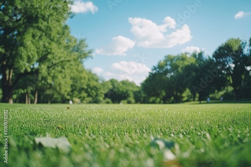 Field of Grass