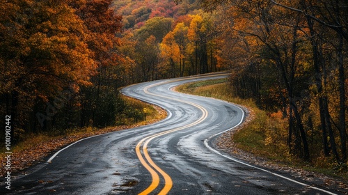 A winding road 