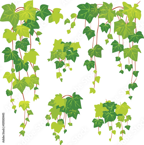 Green Ivy Cartoon Vector Illustration Set. Collection of Grape Liana Stems Shoots. Climbing Leaves for Home Indoor Decoration and Garden in Isolated White Background.