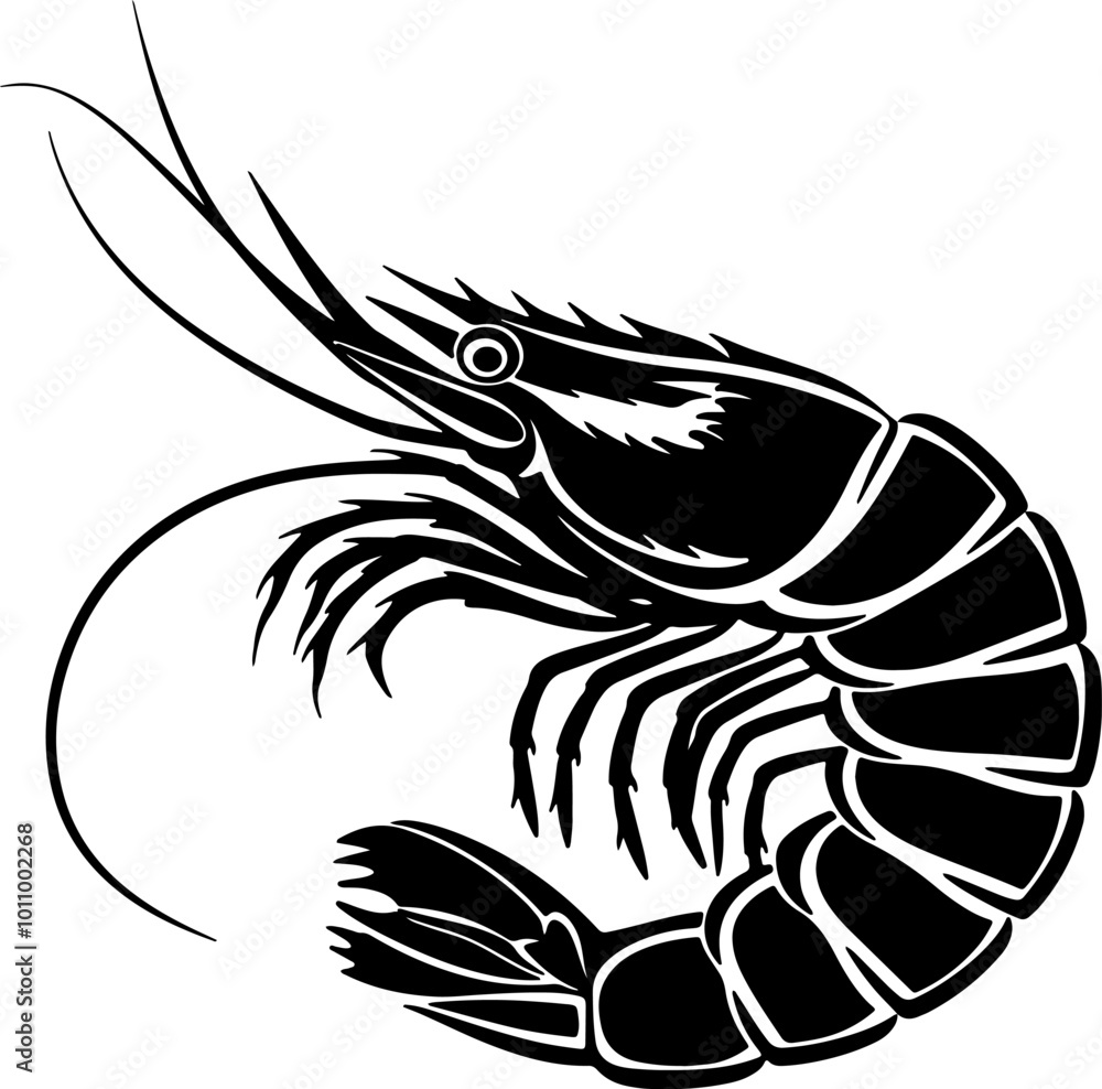 Hand drawn shrimp vector illustration Hand drawn shrimp vector illustration