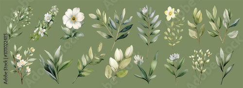 Watercolor green leaves, branches and white flowers hand drawn illustration isolated on olive green background set