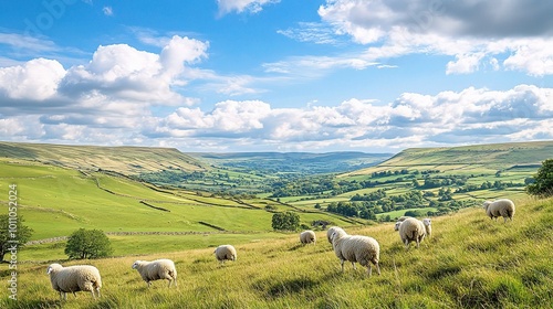 Serene Pastoral Landscape with Sheep and Rolling Hills