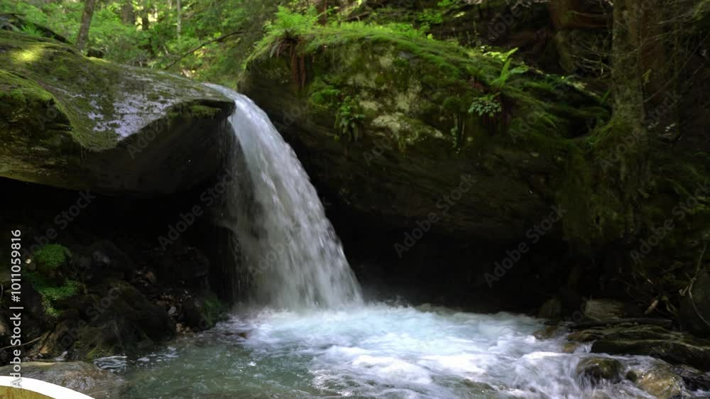 Relaxing Small Waterfall Plunge From Mossy-Covered Rocks. Static Shot Relaxing Small Waterfall Plunge From Mossy-Covered Rocks. Static Shot