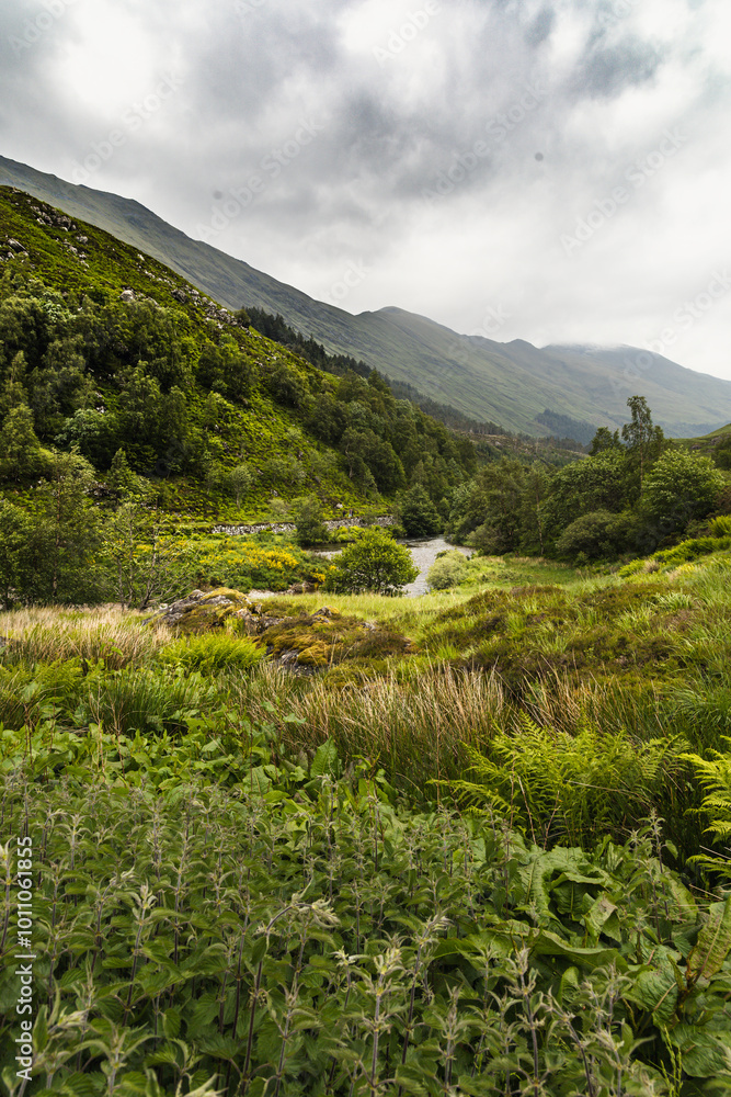 Obraz premium Stunning Green Landscapes of Glen Shiel in the Scottish Highlands