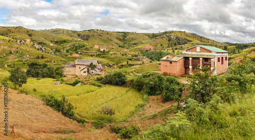 Red clay houses on hilly landscape with yellow rice terrace fields near, countryside in region of Mahatsanda