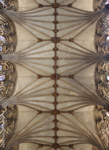 Ely, cathedral, plaster, ceiling, cambridgeshire
