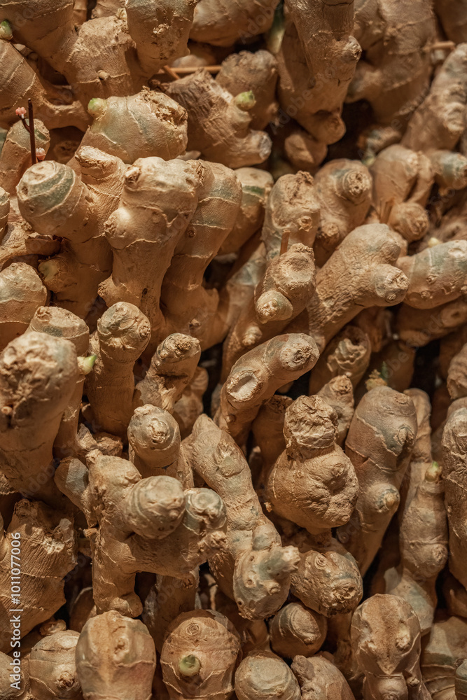 Obraz premium Fresh Ginger Roots Piled for Culinary Use