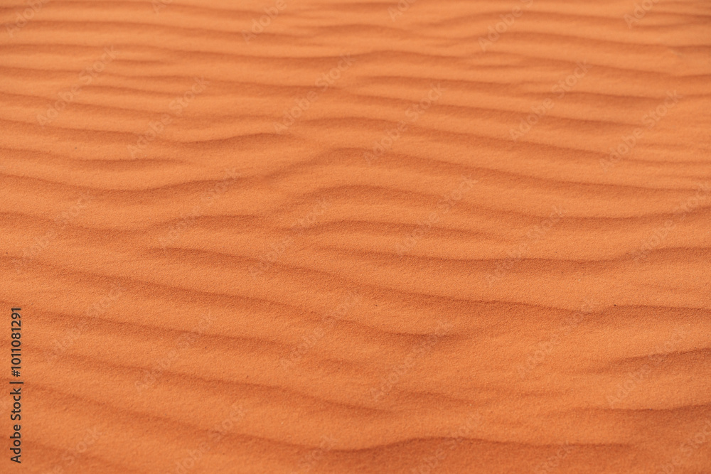 Desert patterns of wind-sculpted sand dunes in Wadi Ram located in the Sahara during sunsets warm glow Desert patterns of wind-sculpted sand dunes in Wadi Ram located in the Sahara during sunsets warm glow
