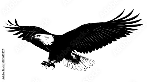 An eagle swoops down toward the ground, talons extended, preparing to catch prey, vector illustration art