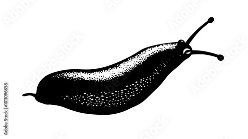 Close-up of a slug reveals its small antennae and moist body texture, vector illustration art