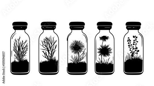 Collection of preserved sea anemone specimens in museum jars, vector illustration art