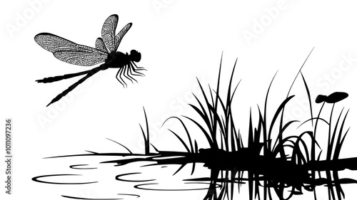 A dragonfly hovers over a pond, wings outstretched as it surveys the water, vector illustration art