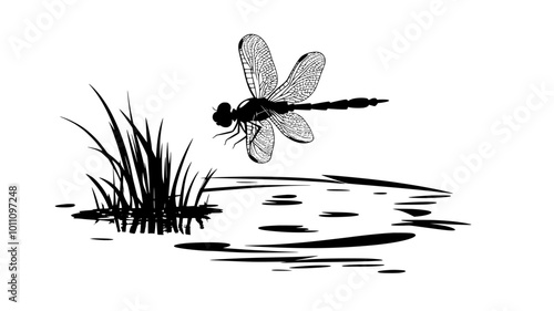 A dragonfly circles over a calm pond, gliding smoothly over the water’s surface, vector illustration art