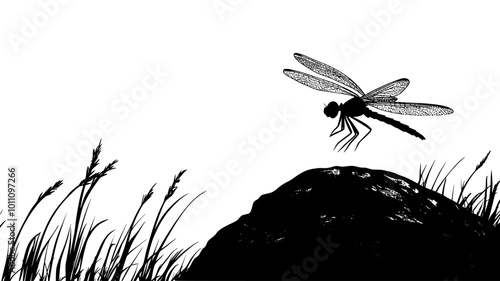 A dragonfly lands on a rock, pausing before taking off again, vector illustration art