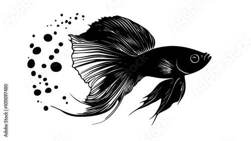 Female betta releasing eggs during spawning process, vector illustration art