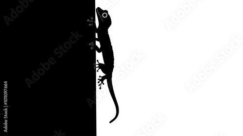 Gecko climbing a vertical glass surface using its toe pads, vector illustration art