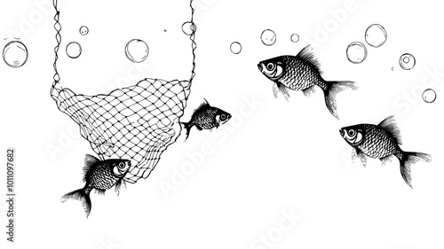 Goldfish being caught in a net for tank cleaning, vector illustration art