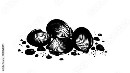 Group of clams clustered together on seabed, surrounded by stones, vector illustration art