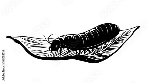 A leech resting on a submerged leaf, preparing to search for hosts, vector illustration art