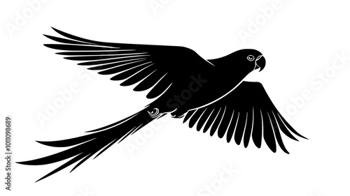 A parrot flies through the air, wings fully extended, tail feathers trailing behind, vector illustration art photo