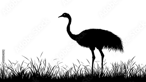 Ostrich standing in an open field, neck extended high, surveying the area, vector illustration art