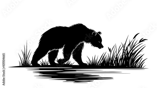 Bear walking slowly along a riverbank, sniffing the ground, vector illustration art