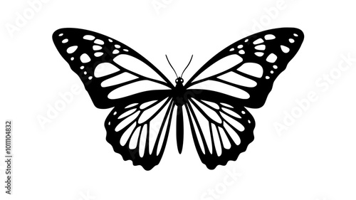 Butterfly in flight with wings fully extended against the sky, vector illustration art