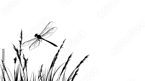 Dragonfly perched on a reed with its wings outspread, vector illustration art