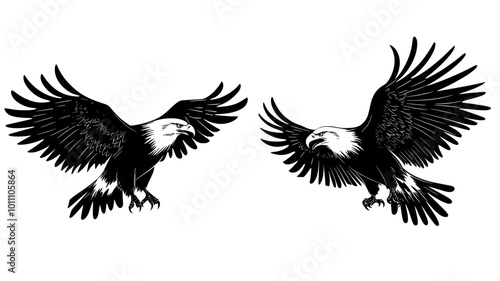 Eagles battling mid-air in a territorial dispute, vector illustration art